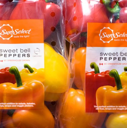 SunSelect Retail Bags