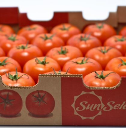 SunSelect Club Boxes